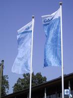 Fly a Flag