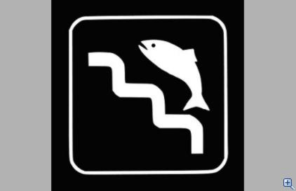 Fish ladder symbol