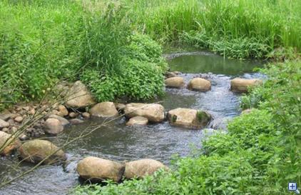 Fischweg
